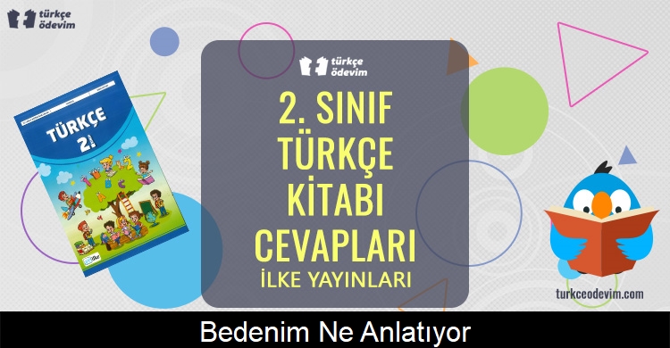 Bedenim Ne Anlatıyor? Metni Cevapları (2. Sınıf Türkçe)