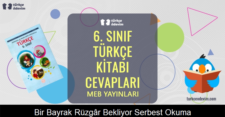 Bir Bayrak Rüzgâr Bekliyor Serbest Okuma Metni Cevapları (6. Sınıf Türkçe)