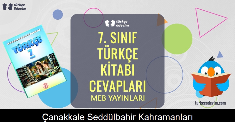 Çanakkale Seddülbahir Kahramanları Metni Cevapları (7. Sınıf Türkçe)