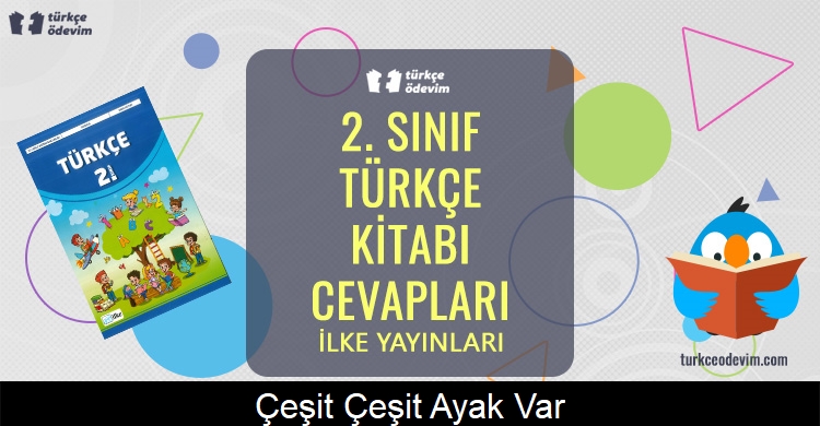 Çeşit Çeşit Ayak Var Metni Cevapları (2. Sınıf Türkçe)