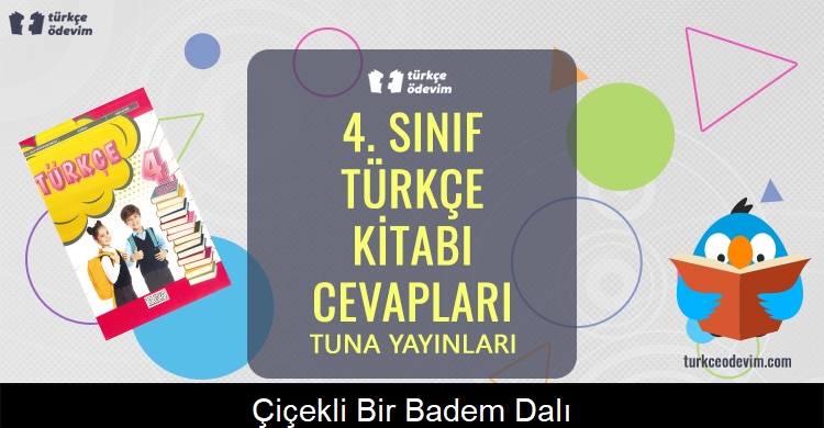 Çiçekli Bir Badem Dalı Metni Cevapları (4. Sınıf Türkçe)