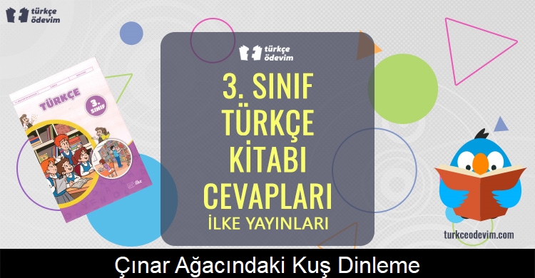 Çınar Ağacındaki Kuş Dinleme Metni Cevapları (3. Sınıf Türkçe)