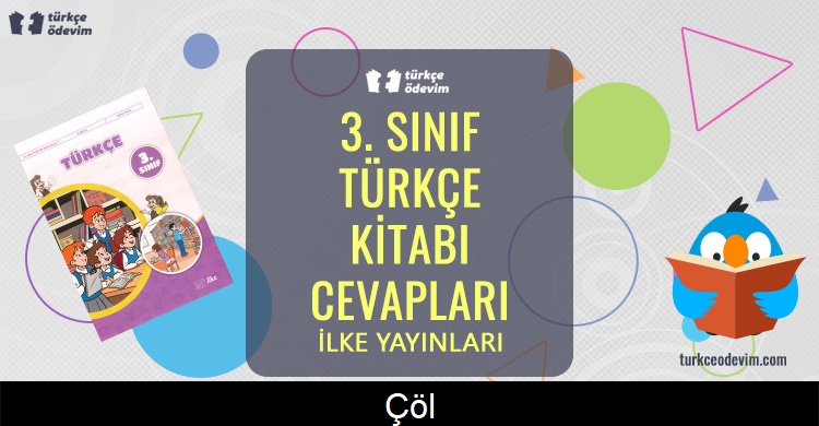 Çöl Metni Cevapları (3. Sınıf Türkçe)