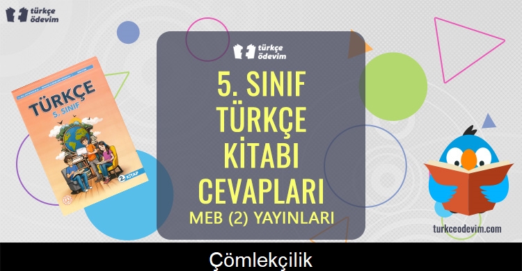 Çömlekçilik Metni Cevapları (5. Sınıf Türkçe)