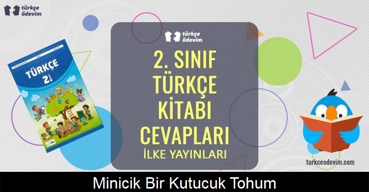 Minicik Bir Kutucuk: Tohum Metni Cevapları (2. Sınıf Türkçe)