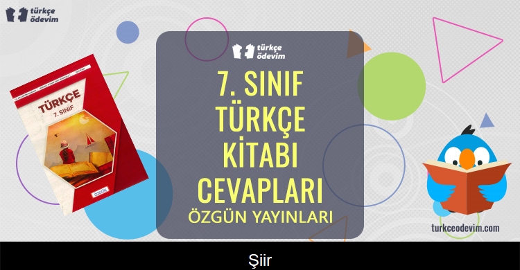 Şiir Metni Cevapları (7. Sınıf Türkçe)