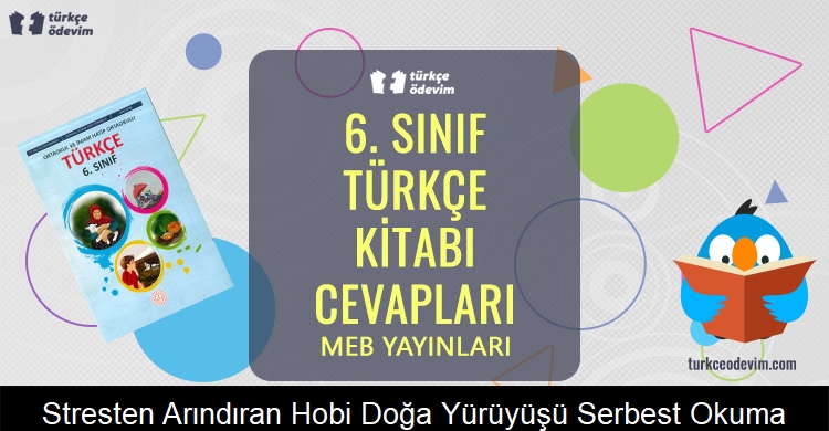 Stresten Arındıran Hobi Doğa Yürüyüşü Serbest Okuma Metni Cevapları (6. Sınıf Türkçe)