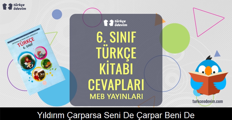 Yıldırım Çarparsa Seni de Çarpar, Beni de! Metni Cevapları (6. Sınıf Türkçe)