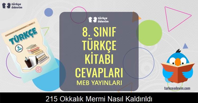 215 Okkalık Mermi Nasıl Kaldırıldı? Metni Cevapları (8. Sınıf Türkçe)