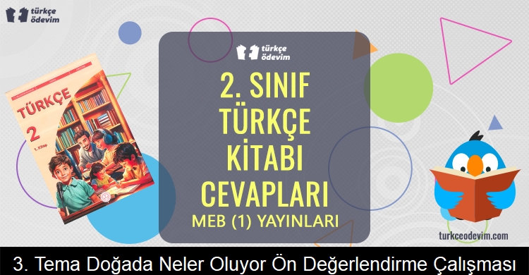 3. Tema: Doğada Neler Oluyor? Ön Değerlendirme Çalışması Metni Cevapları (2. Sınıf Türkçe)