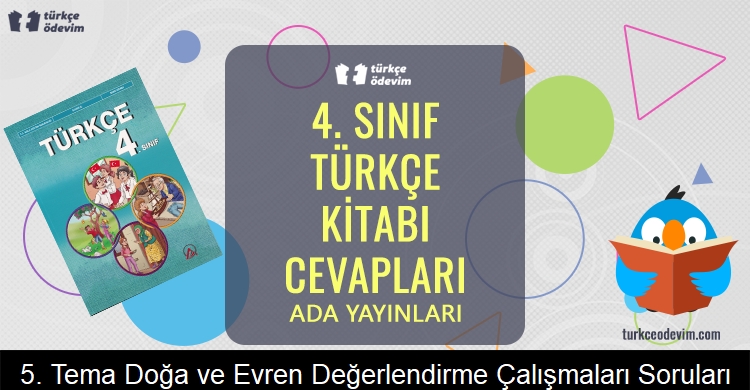 5. Tema Doğa ve Evren Değerlendirme Çalışmaları Soruları Metni Cevapları (4. Sınıf Türkçe)