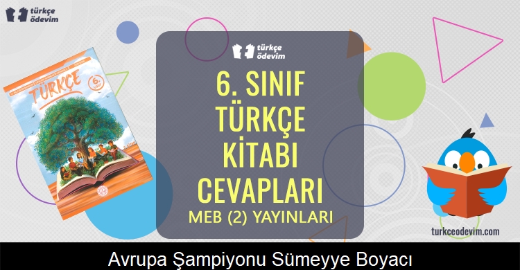 Avrupa Şampiyonu Dünya İkincisi Gönüllerin Birincisi Sümeyye Boyacı Metni Cevapları (6. Sınıf Türkçe)