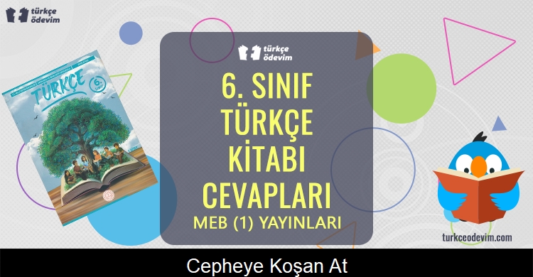 Cepheye Koşan At Metni Cevapları (6. Sınıf Türkçe)