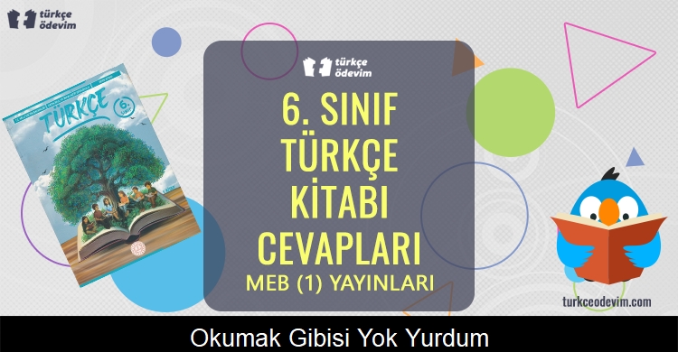 Okumak Gibisi Yok! Türkçe ile Büyümek Metni Cevapları (6. Sınıf Türkçe)