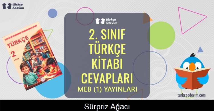Sürpriz Ağacı Metni Cevapları (2. Sınıf Türkçe)