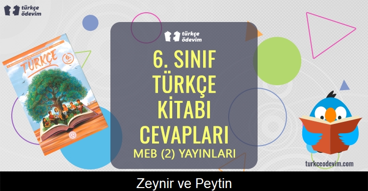 Zeynir ve Peytin Metni Cevapları (6. Sınıf Türkçe)